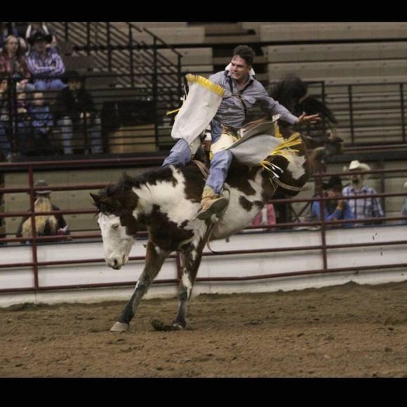 Meet your Posher, Peter - Picture 1 of 1